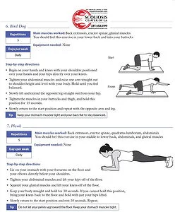 Exercises To Download 4 low back 4