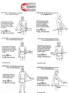 Exercises To Download 1 shoulder 3
